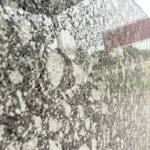P White Lapatro Granite