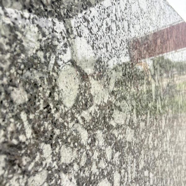 P White Lapatro Granite